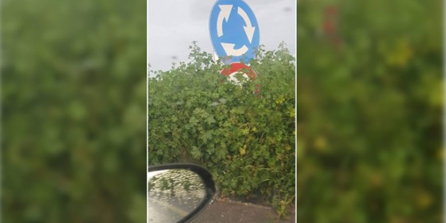 Bulmaca gibi tabela çözmek lazım