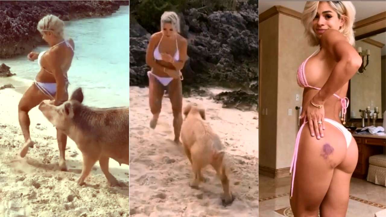 Ünlü modelin kalçasını domuz ısırdı!