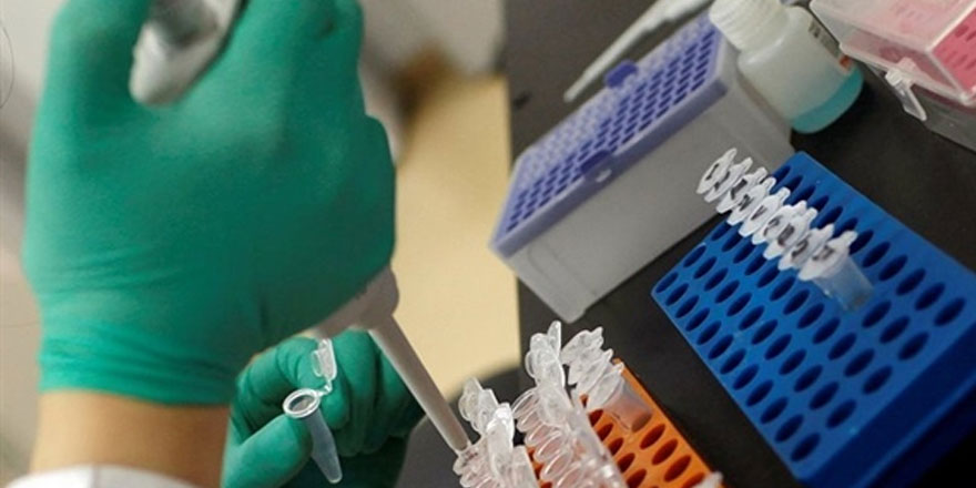 Meme kanserini tespit eden kan testi