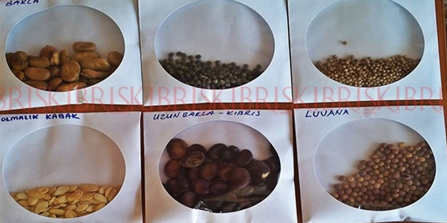 Yeniboğaziçi ve Geçitkale’de yarın tohum takas şenlikleri düzenleniyor