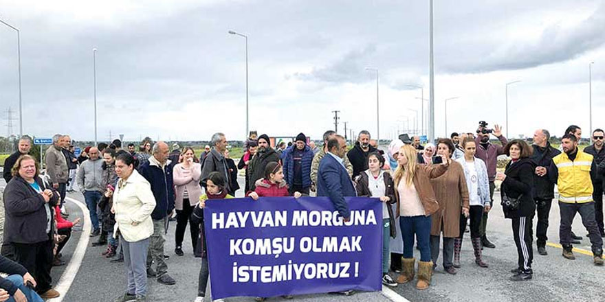 “Hayvan morguna hayır”