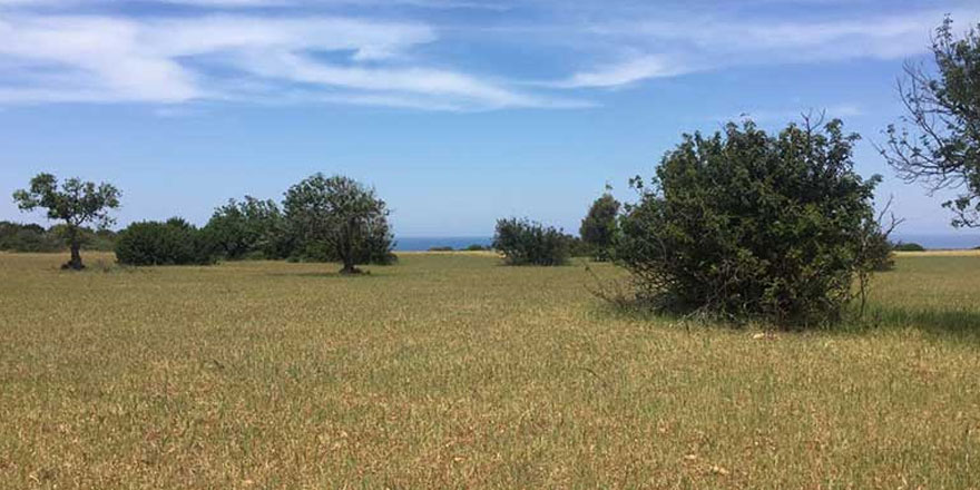 “Devlet, Anayasa’yı çiğniyor”