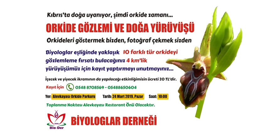 Biyologlar Derneği’nden orkide gözlemi ve doğa yürüyüşü
