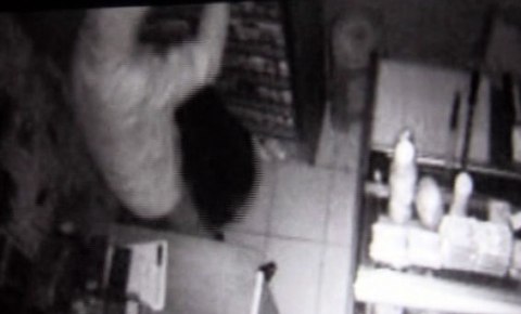Ülkeye gelişinin 5’inci gününde hırsızlık yaptı
