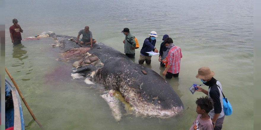 Karnını yarıp çıkardılar!