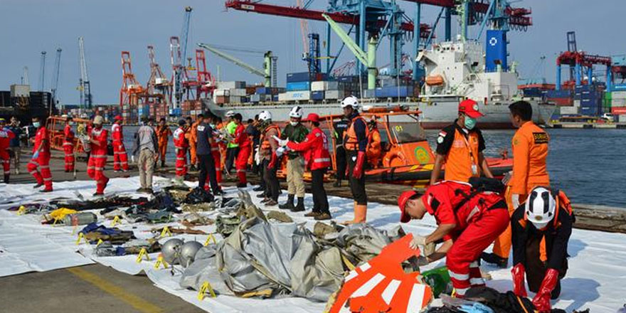 Kaza raporu: Pilotlar el kitabından çözüm aradı