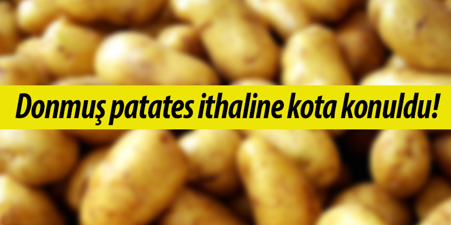 Donmuş patates ithaline kota konuldu!