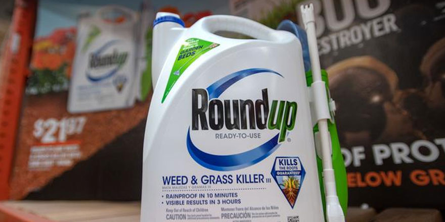 Glifosat davasında Bayer’e 80 milyon dolar ceza