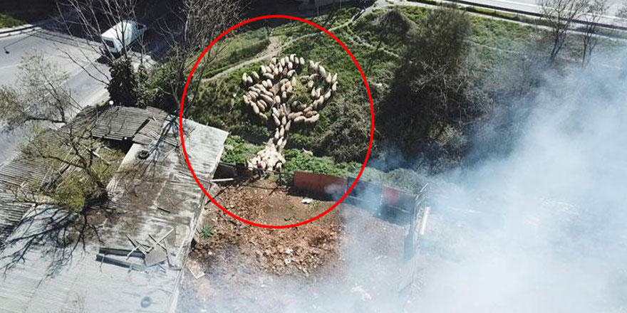 İstanbul'da hareketli dakikalar!