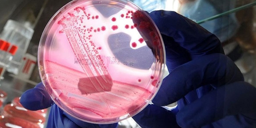 "10 yıl içinde insanların ölüp ölmeyeceğini belirleyen kan testi"