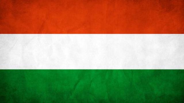 Macaristan'da Yahudi Soykırımı'nı inkar edene çalışma cezası