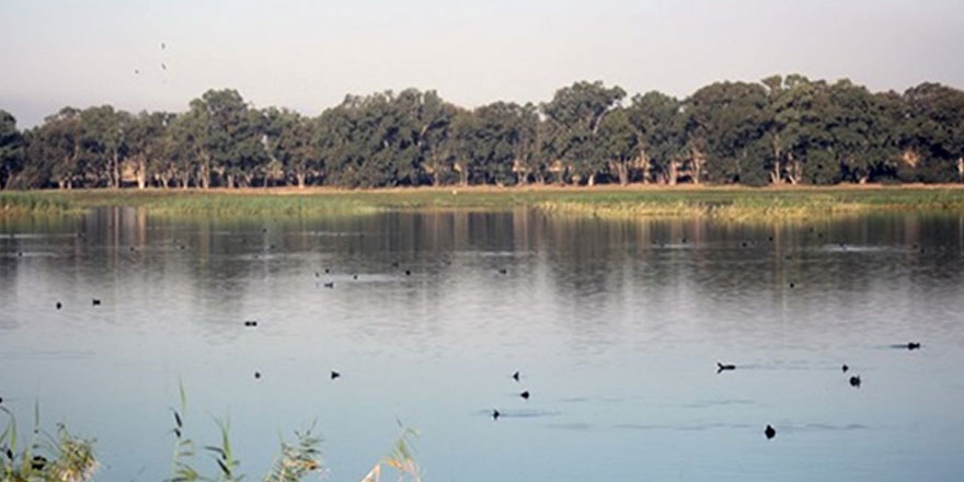 Biriken su kontrolsüz şekilde bölgeye yayılmaya başladı