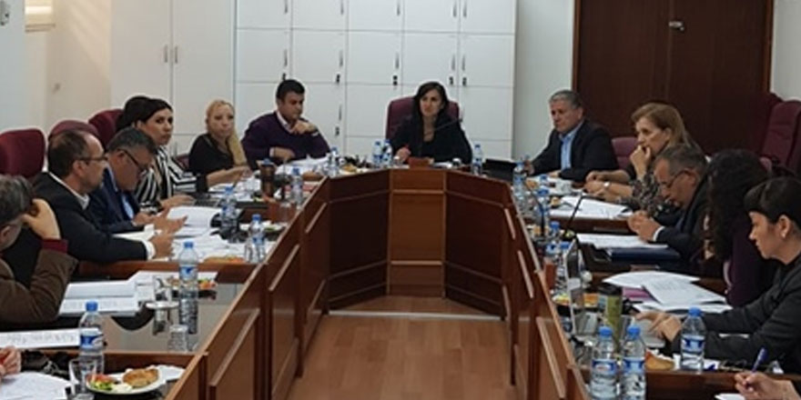 Komite, Ruh sağlığı yasa tasarısını ele aldı