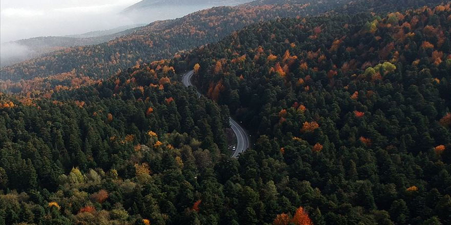 Fransa ile 150 milyon avroluk 'ormancılık' anlaşması