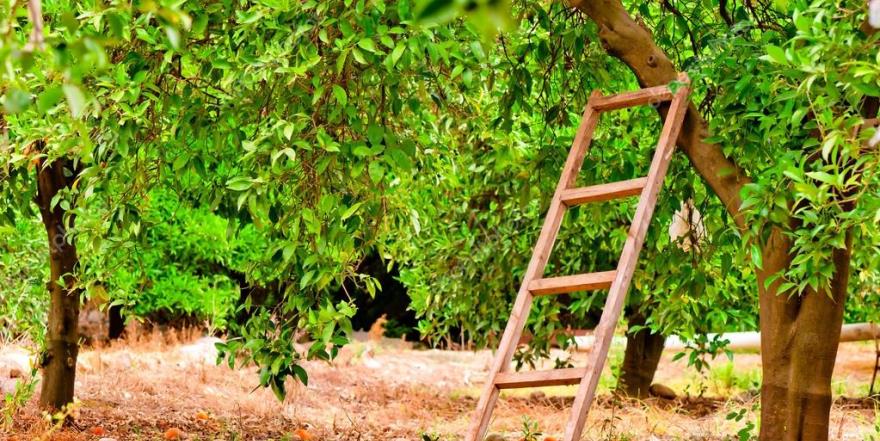 40 yaşındaki adamın beli kırıldı!