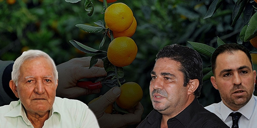 Hükümet üreticiye sahip çıkmalı