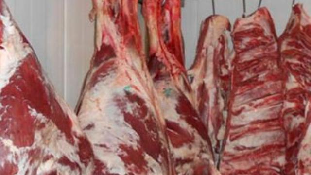 250 kilo kaçak et ele geçirildi
