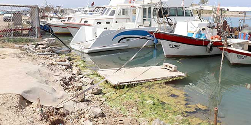 Balıkçılık can çekişiyor