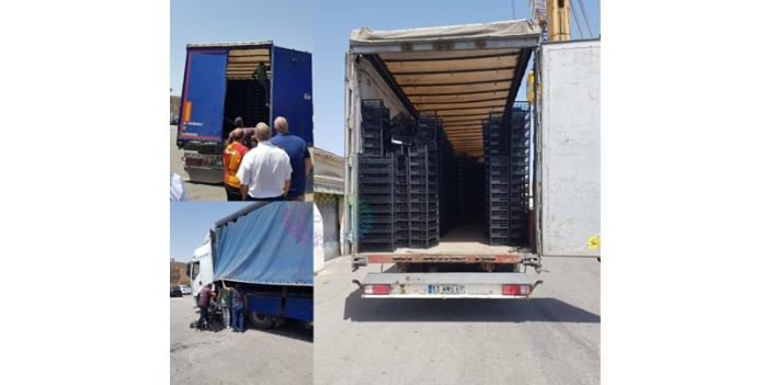 Tır içerisine gizlenmiş 15 mülteci tespit edildi