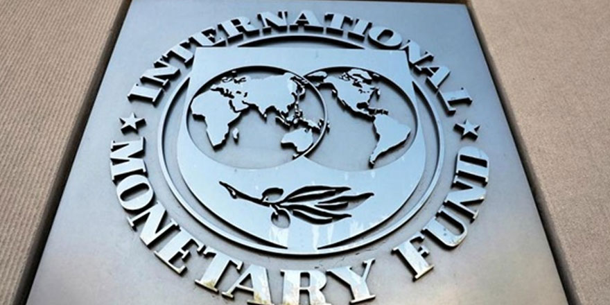 IMF kendi içinde yapılanmaya gidiyor