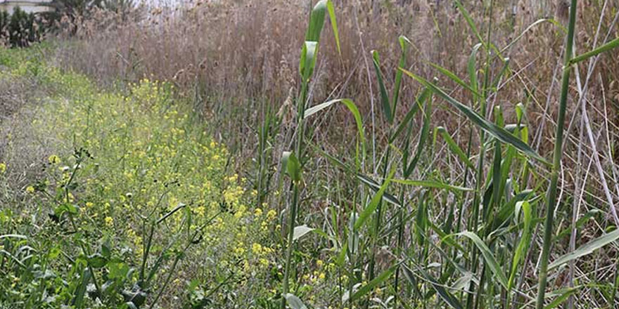 Halk sağlığı hiçe sayılıyor!