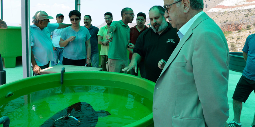 'Yaban hayvanları doğaya kazandırmak önemli'