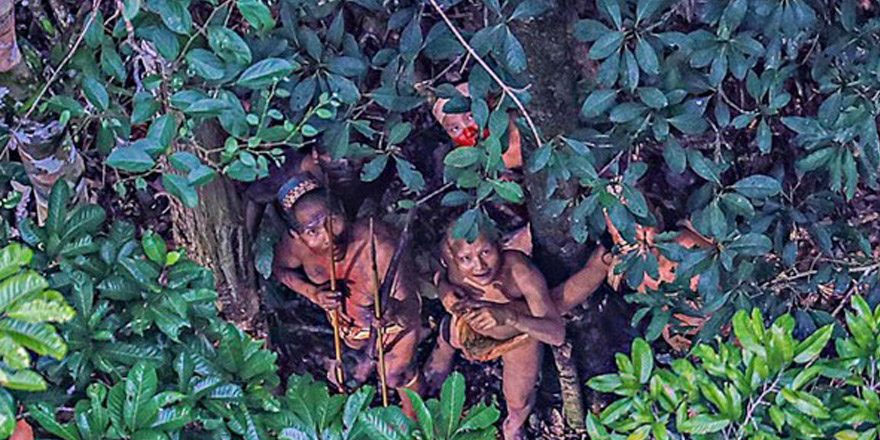 “Amazon yerlileri tarihin en ağır saldırısı altında"