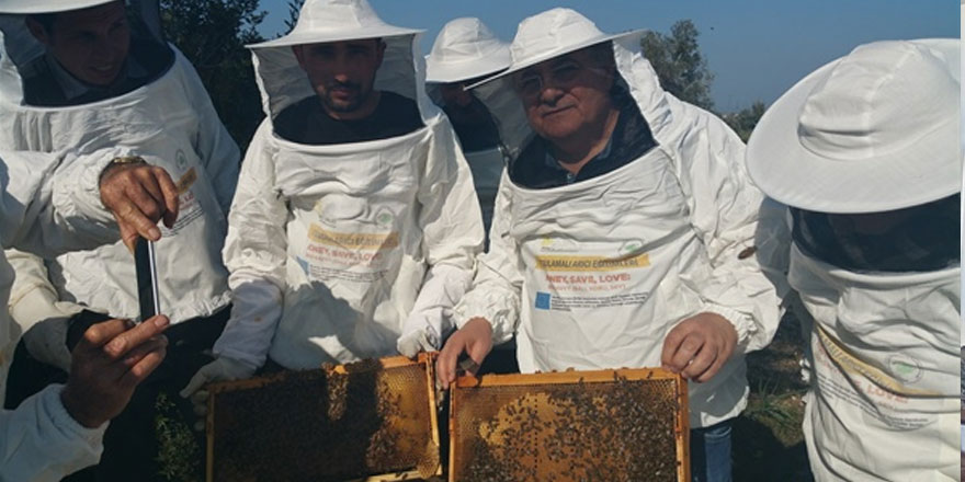 Temel arıcılık kursu 8 Temmuz’da başlıyor