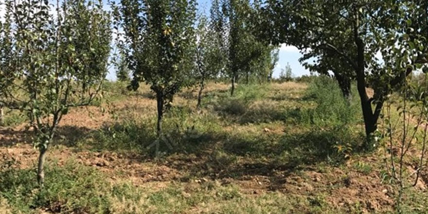 Tarım Dairesi Eğitim çalışmalarına Akıncılar’da devam edecek