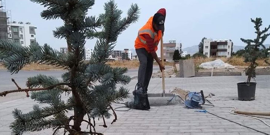 LTB’nin yeşil odaklı kararı sayesinde fidanlar ekiliyor