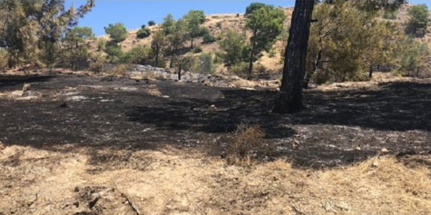 Yedidalga’da yangın