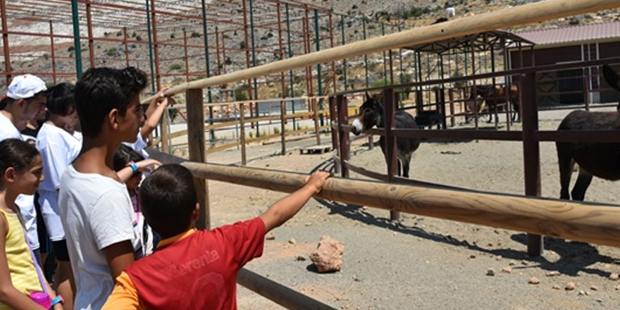 LTB Kurslarına katılan çocuk ve gençlere yönelik Taşkent doğa parkı gezisi düzenlendi