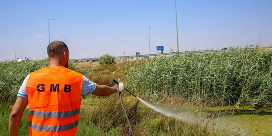 Gazimağusa belediyesi “batı nil virüsü”ne karşı çalışmalarını yoğunlaştırdığını açıkladı