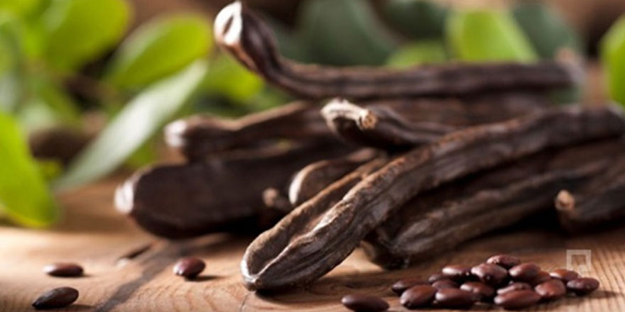 Gazimağusa ilçesinde Harup hasadı 23 Ağustos’ta başlayacak