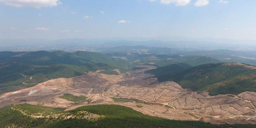 Eylül’den Kanadalı çocuklara Kaz Dağları mektubu