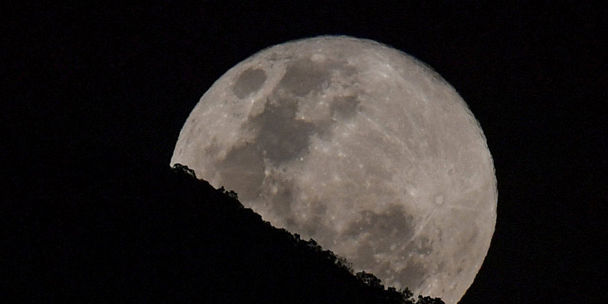 İsrail'in Ay'a çakılan uzay aracında binlerce su ayısı varmış