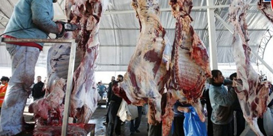 Zoonoz hastalıklara dikkat!