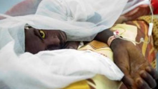 Kongo’daki Kolera salgınında ölü sayısı 771'e yükseldi