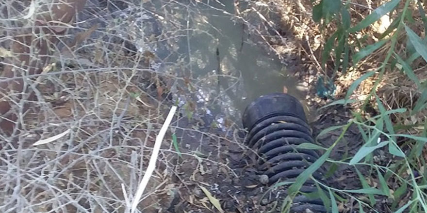 Mağusalılara hastalık uyarısı..Dikkatli olun !