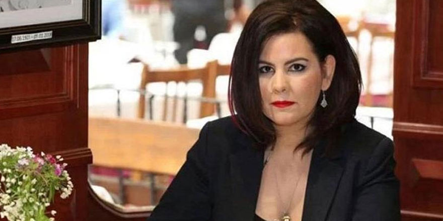 Edebiyatçı Ayşegül Tözeren gözaltına alındı