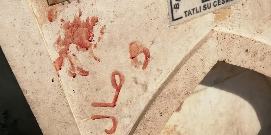 'Kediye işkence edip kanıyla çeşme mermerine Arapça yazı yazdılar'