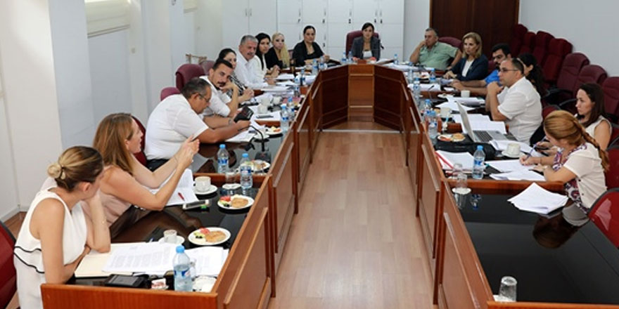 Kamu ve sağlık işleri komitesi toplandı