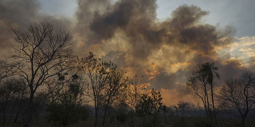 Brezilya'daki amazonlarda hava kirliliği artıyor