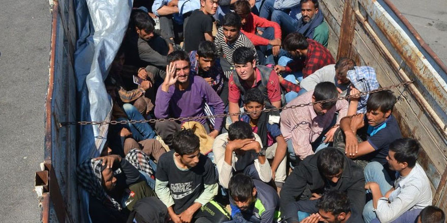 'Küçük baş hayvan' dedi, kaçak göçmen çıktı