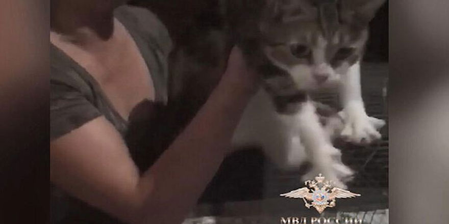 Uyuşturucu kuryesi olan kedi bir de firari konumuna düştü
