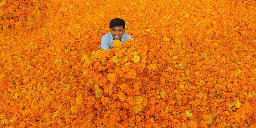 Hindistan'ın renkli yüzü: Çiçek pazarları