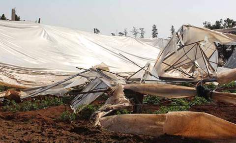 Maraş’lı seracılar yardım bekliyor