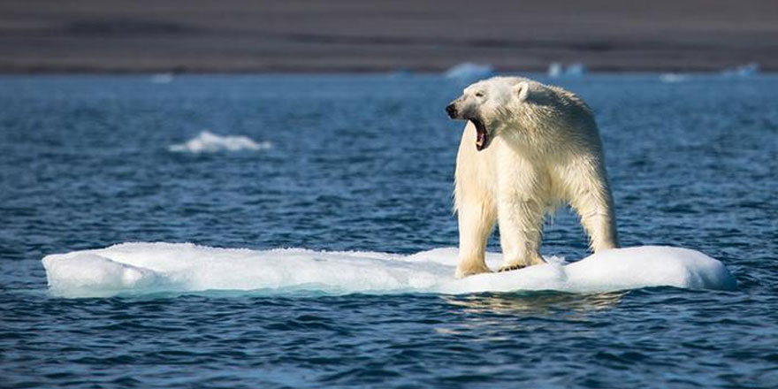 İklim değişikliği İtalya'da zorunlu ders olacak