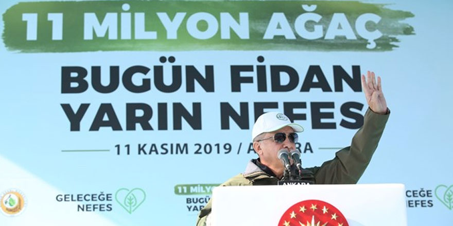 Hedefimiz zümrüt yeşili bir Türkiye fotoğrafı