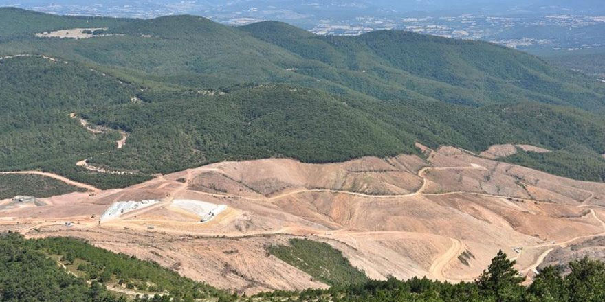 Kaz Dağları'na ne olduğunun yanıtı bu haberde